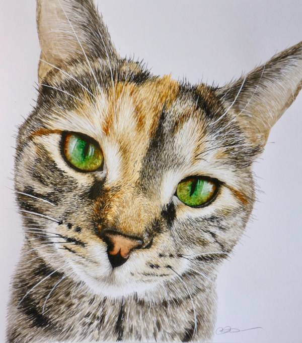 - watercolour on Paper, Painting by Carys Avery Welsh, measuring 25 x 23 cm (H x W) framed at 40 x 33 cm £395