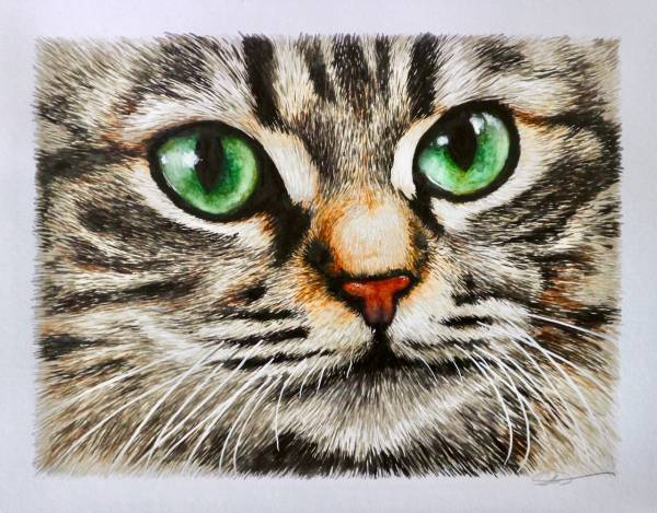 - watercolour on Paper, Painting by Carys Avery Welsh, measuring 20 x 25 cm (H x W) framed at 35 x 40 cm £345