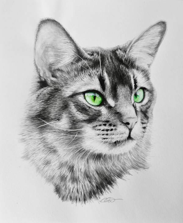 - watercolour on Paper, Painting by Carys Avery Welsh, measuring 30 x 25 cm (H x W) framed at 46 x 41 cm £395
