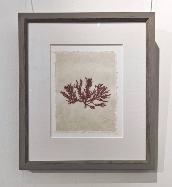 - on , Print by Richard Farrant, measuring 19 x 15 cm (H x W) framed at 35 x 30 cm £75